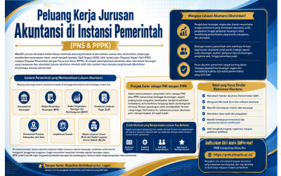 Peluang Kerja Jurusan Akuntansi di Instansi Pemerintah (PNS & PPPK)